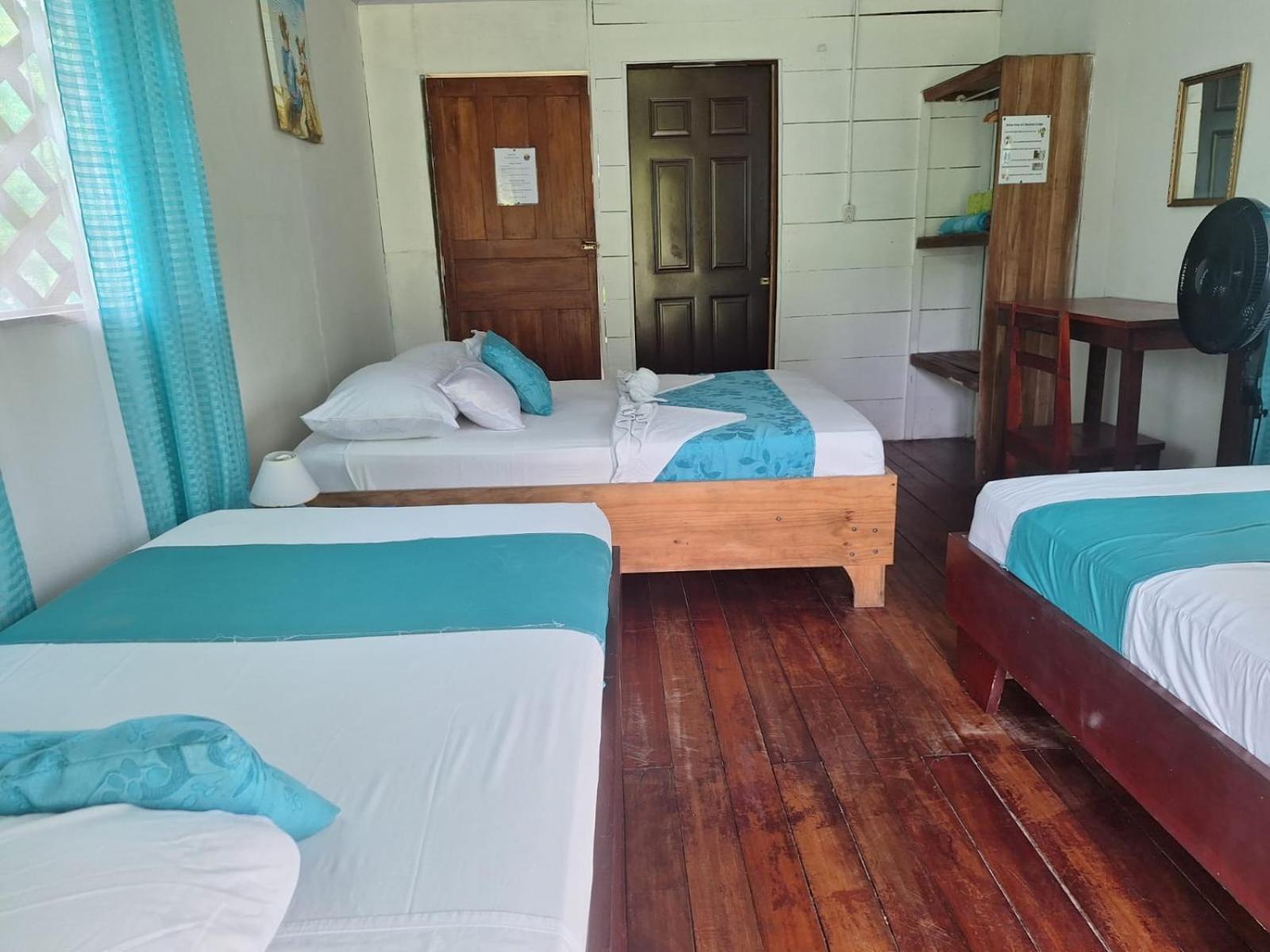 All Rankins Eco-Lodge Tortuguero Exterior foto